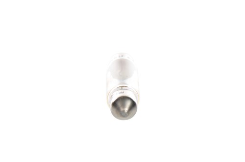 Bosch lampadina trucklight - bosch, 1